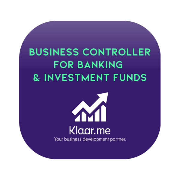 Business controller consultation for banking and investment funds