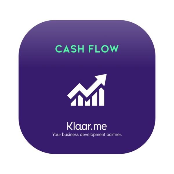 Cash Flow Consultation
