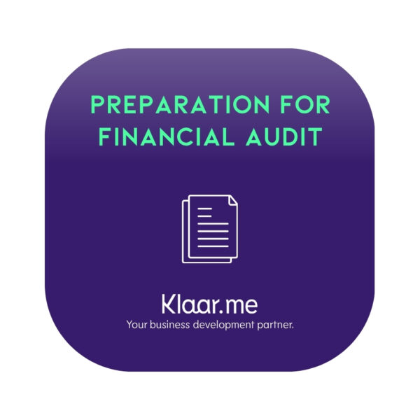 Preparation for financial audit