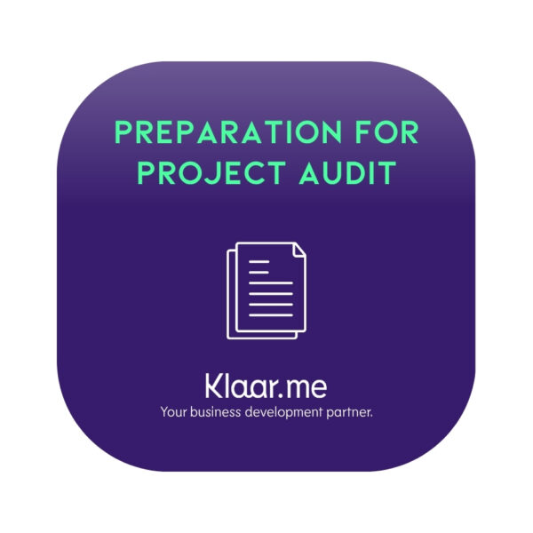 Project audit